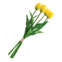 Set Deco Tulipanes - Flores