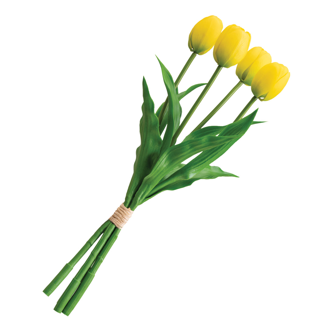 Set Deco Tulipanes - Jarrón